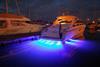 Bluefin LED
