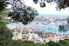 Palma