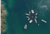 SEAFORESTATION_By_Cor_B_PAGE_6_s-1