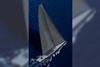 APEX 850 - sailing-HighRes