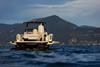 Astor 36