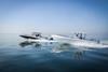 H AlDhaen Boats Speeding towards DIBS 2023