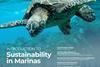 Introduction to sustainability in marinas - image