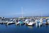 IMG-20240604-WA0016