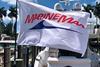 MarineMax flag