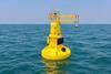 Ecocoast_Xylem