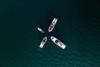 Riva models