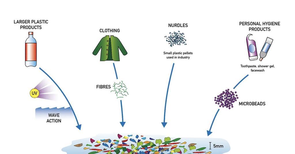 Shell Fish Waste Shellfish waste could help clear oceans of microplastics | Green ...