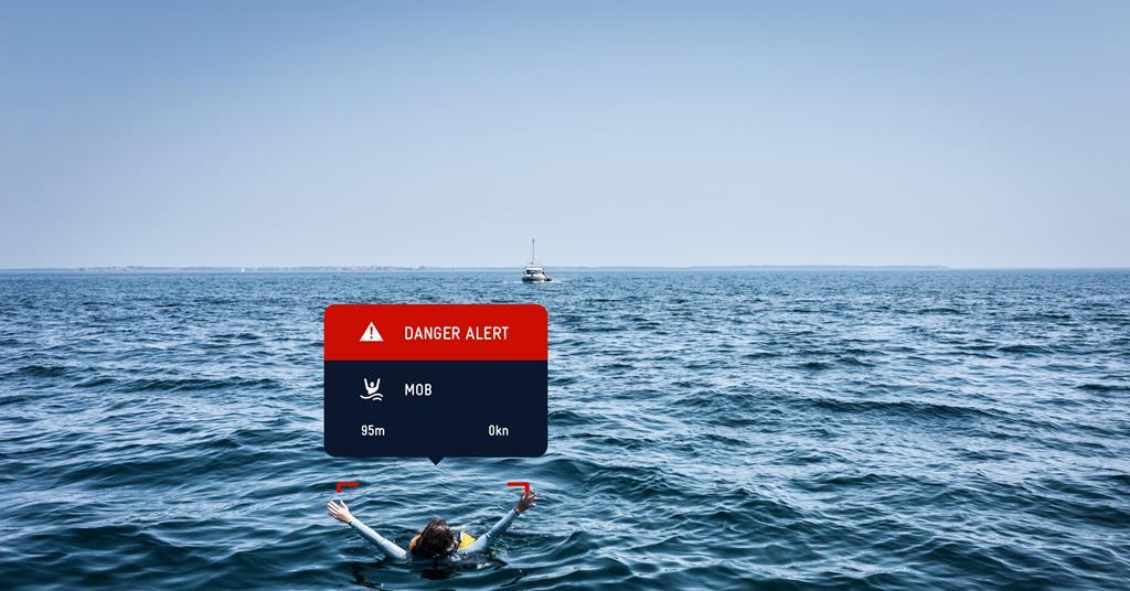 AI helps to identify whales to prevent collisions | AI | International ...