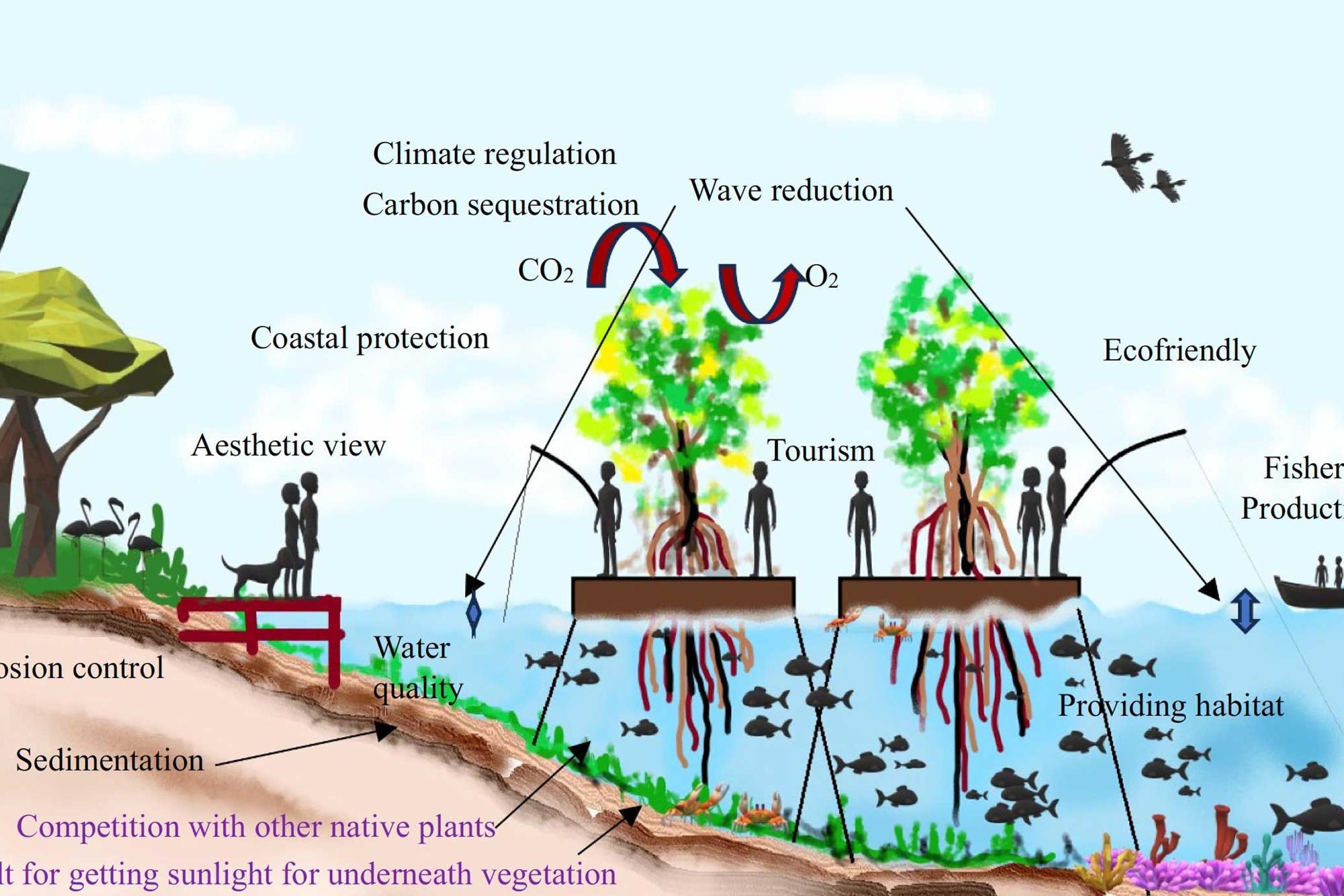 Surface Wave Propagation In Mangrove Forests