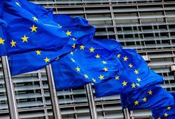 EU flags