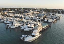 Conch Harbor