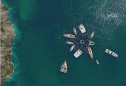 SEAFORESTATION_By_Cor_B_PAGE_6_s-1