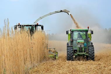 crop-5159303_1280