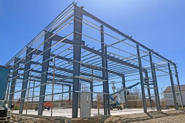 Lyman plant