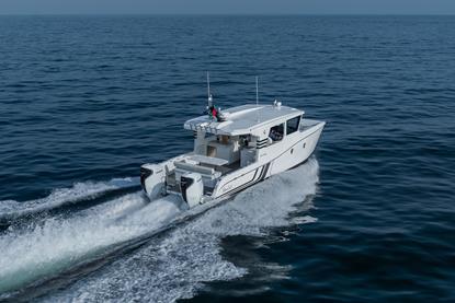 SilverCat 35CX 4