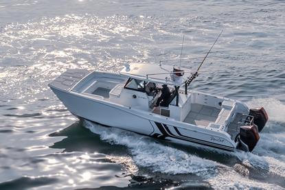 SilverCAT 35CC EX7