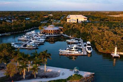 Hamilton Harbor Marina