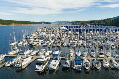 Ladysmith-Marina-0173-768x432