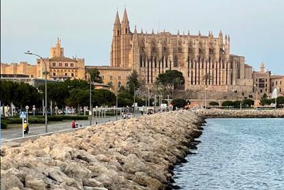 Palma