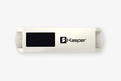 Kasper 1