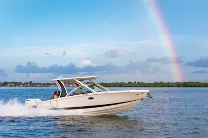 Chaparral 310 OSX