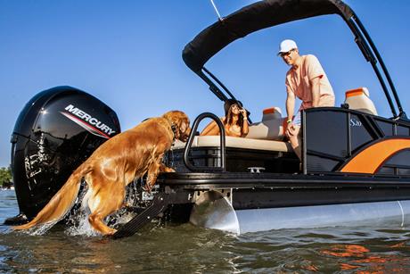 Lilipad Marine doggie ladder