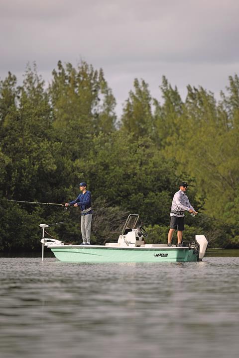 Mercury data shows most prospective electric motor buyers over-estimate their actual power and range needs